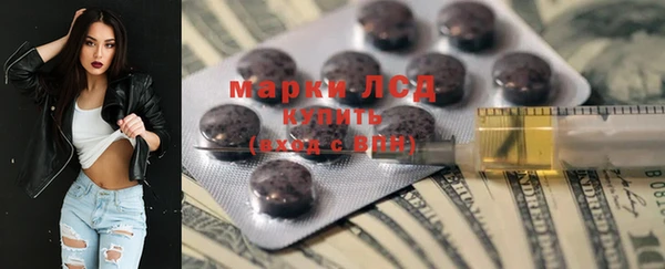 дмт Бородино