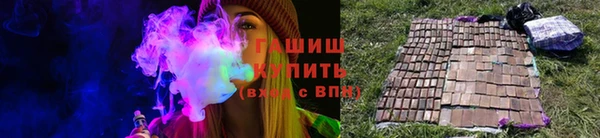 дмт Бородино