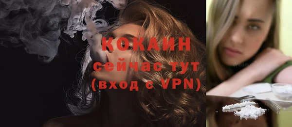дмт Бородино