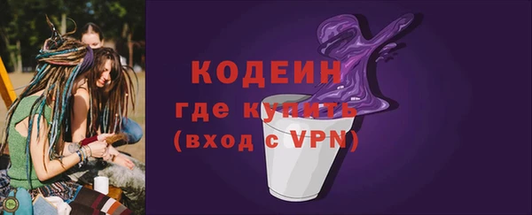 дмт Бородино