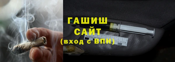 дмт Бородино