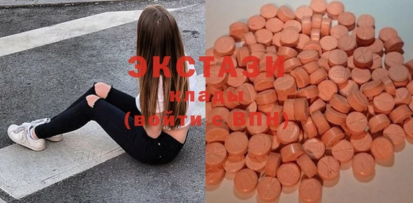 дмт Бородино