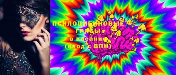 дмт Бородино