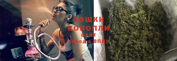дмт Бородино