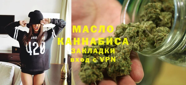дмт Бородино
