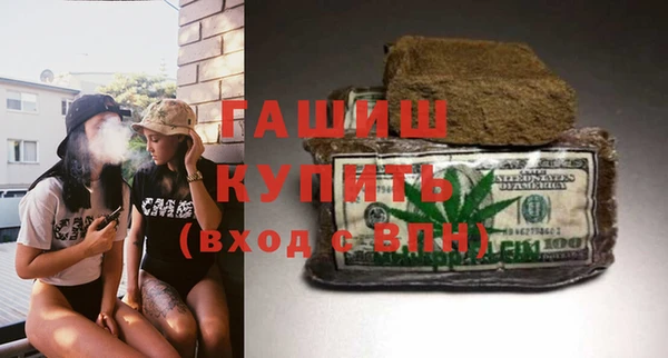 дмт Бородино