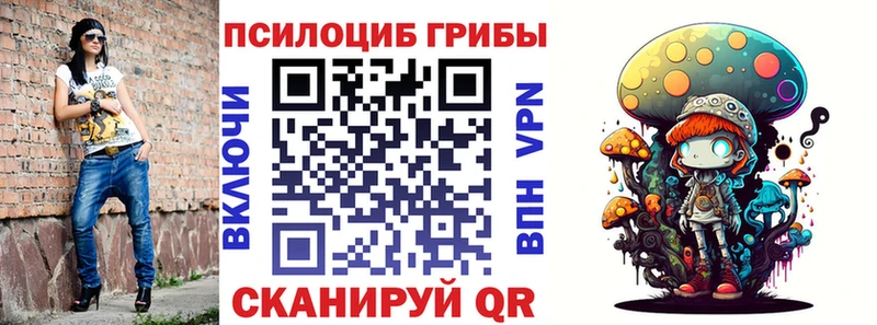 купить наркотик  Кинешма  MEGA как зайти  Галлюциногенные грибы Psilocybe 