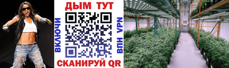 Шишки марихуана SATIVA & INDICA  Кинешма 